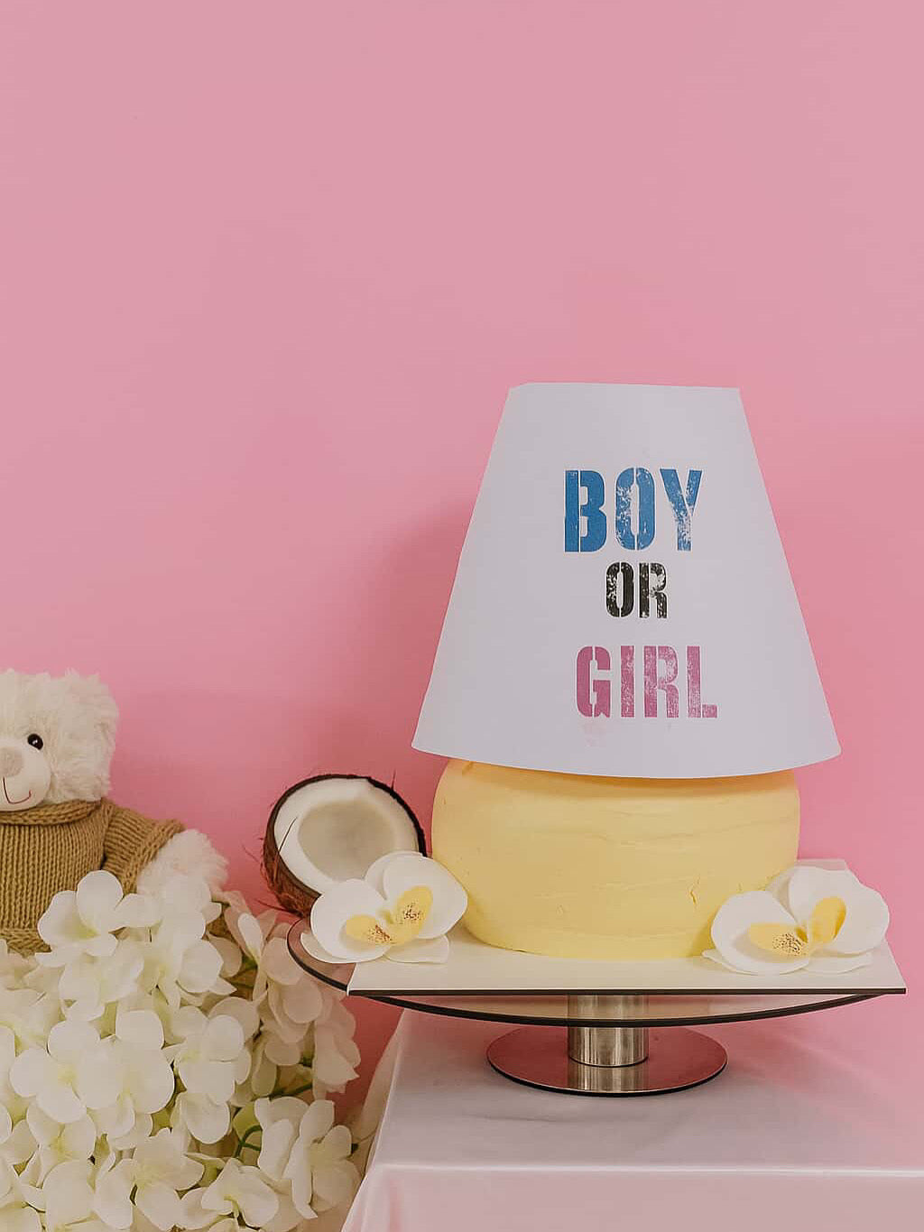 Boy or Girl Lampe cake – Mr. Chef Bakery