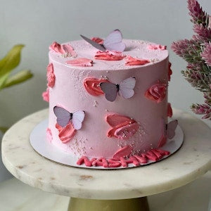 Butterfly Cake