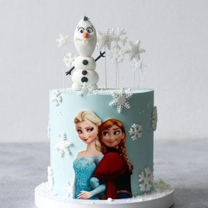 Frozen Cake