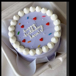 Lovely Blue Lunch Box Cake