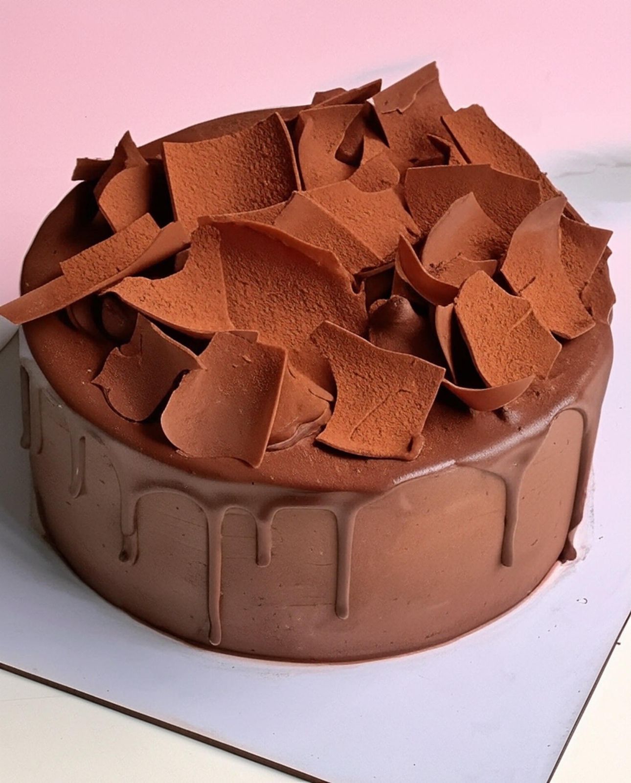 Chocolate Sponge Mousse Cake