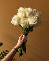 white Rose