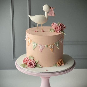 Babe Girl Cake