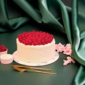 Coconut x Raspberry cake