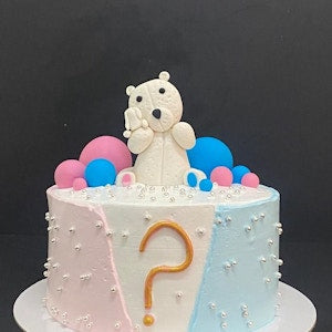 Gender Reveal Sugar Cake